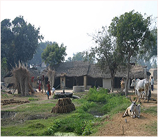 Citta e villaggi, India